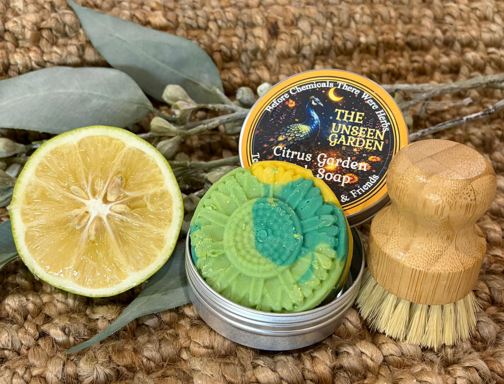 Hard Citrus Dish Soap Bar + Brush | Natural Solid Dishwashing Bar | Eco-Friendly Kitchen Cleaner